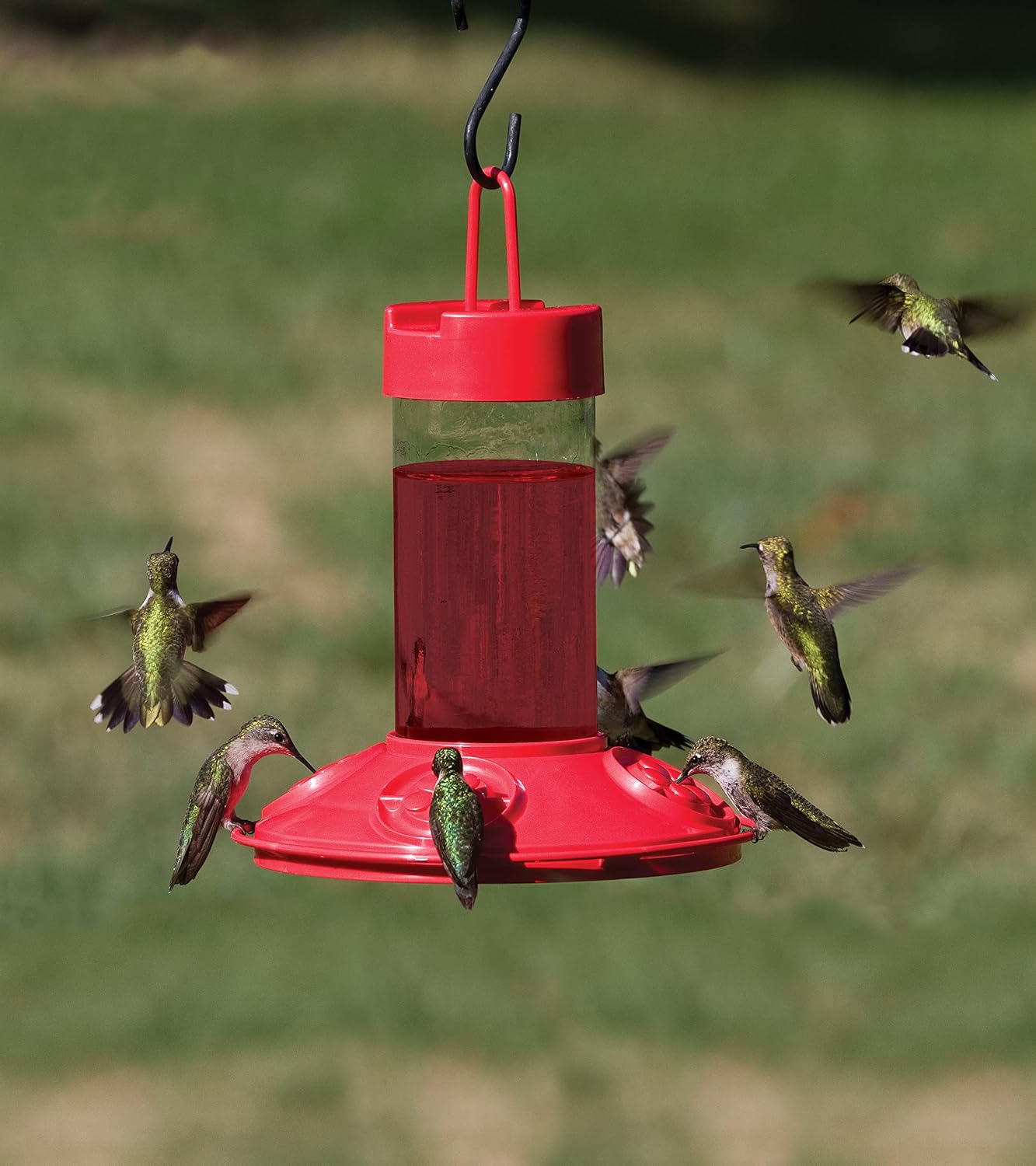 Clean Feeder All Red Hummingbird Feeder - 16 oz