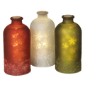 Lighted Snowflake Luminary Bottles -