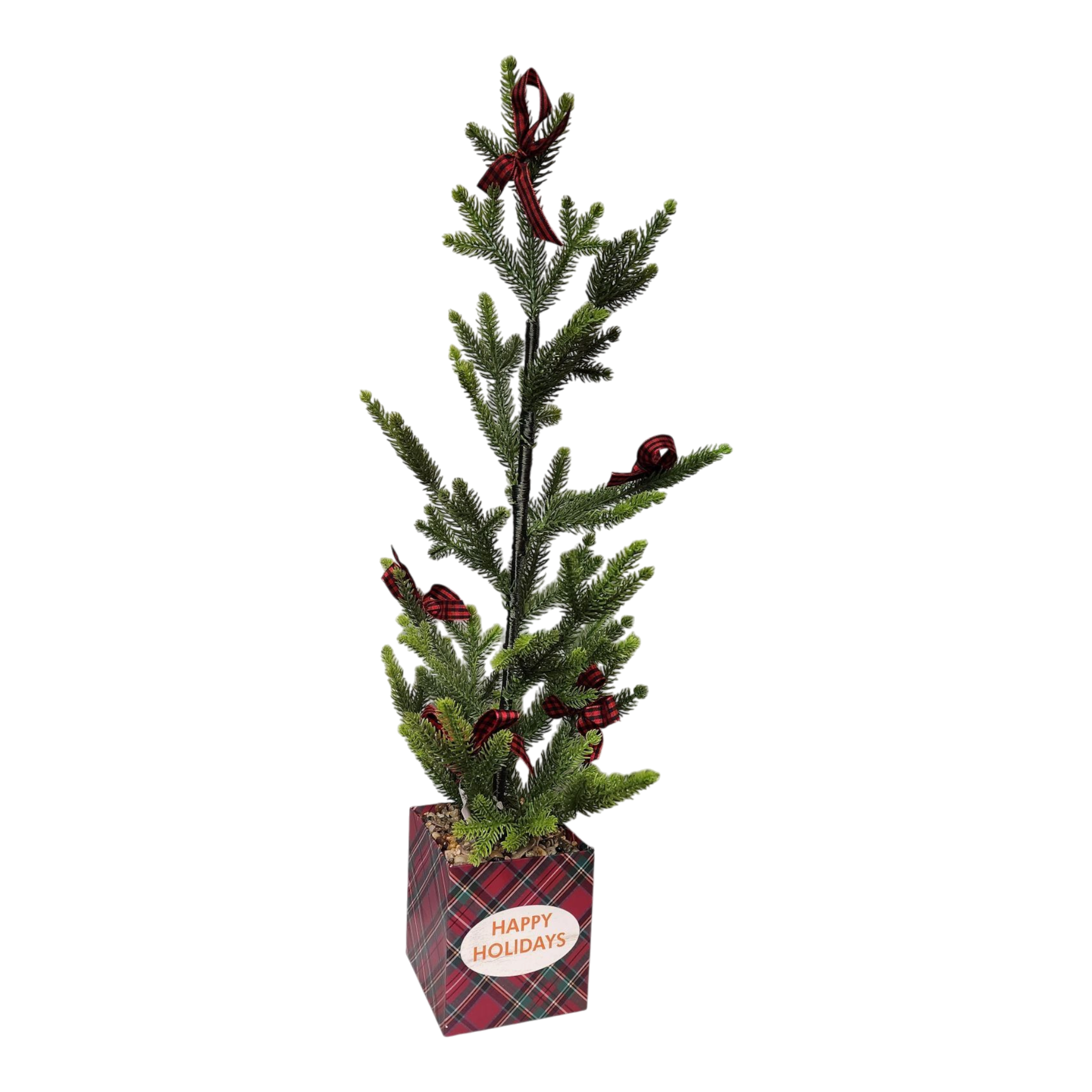 Potted Pine Tree - 24" Tall