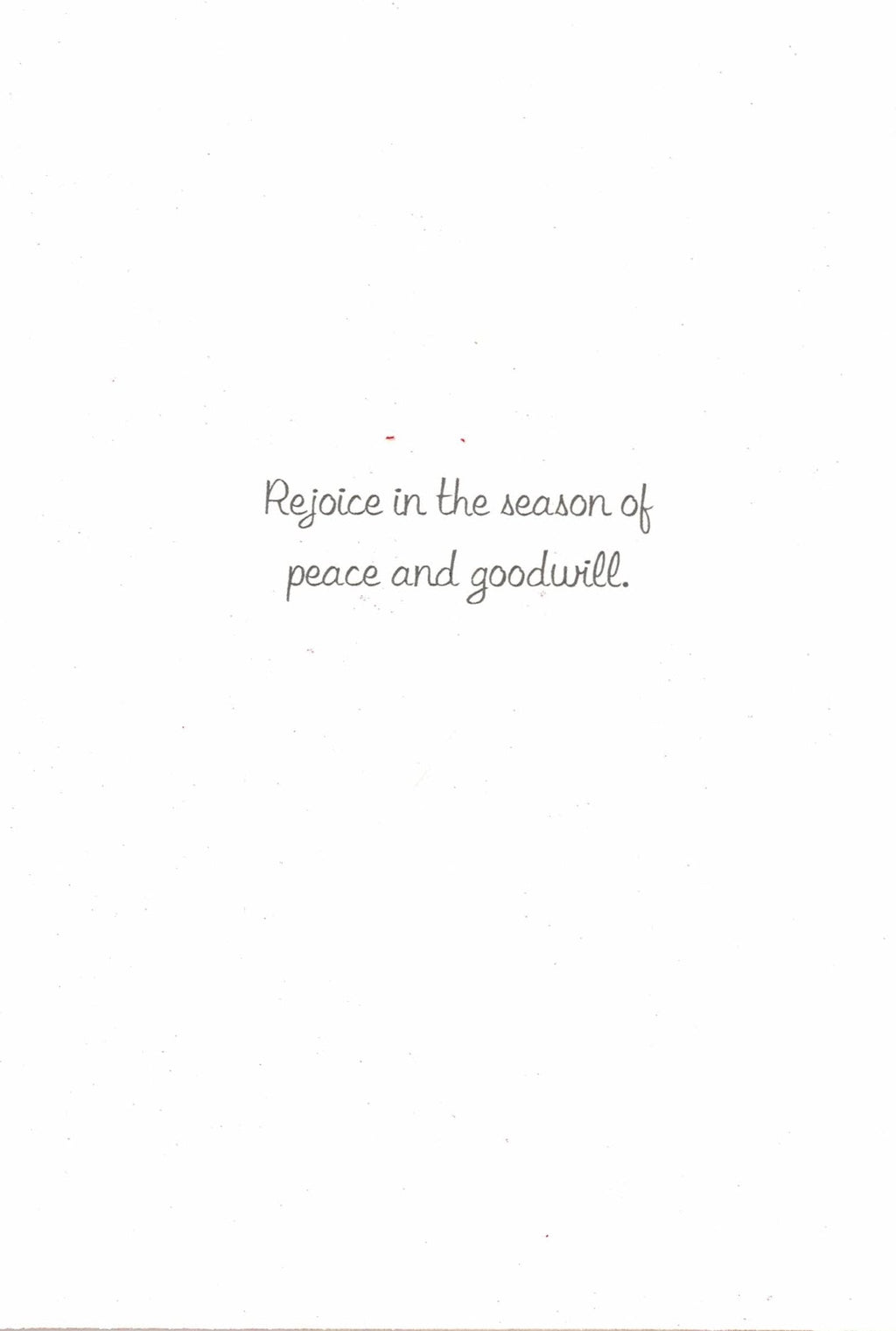 Snowflake Glitter Seasons Greetings Boxed Holiday Cards