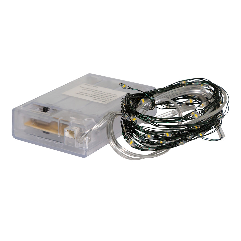50-Light Battery-Operated Cool White LED Green Wire Fairy Lights
