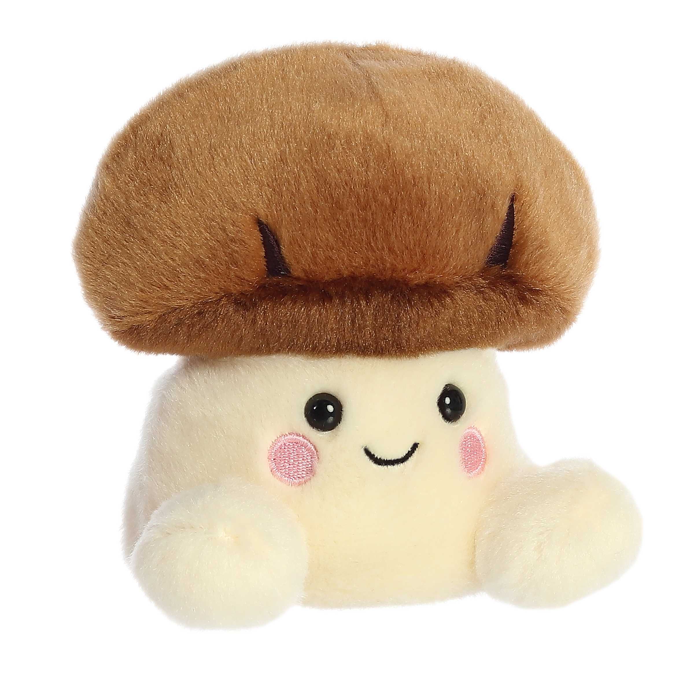 Umami Shiitake Mushroom Palm Pal