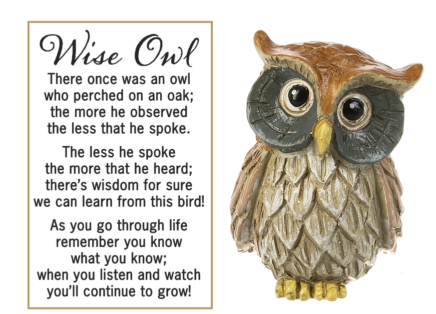 Wise Owl Pocket Stone