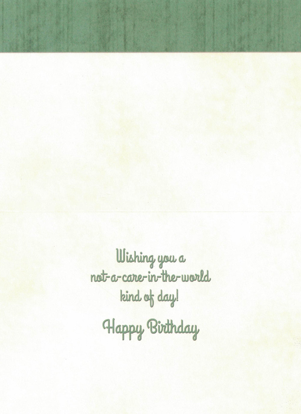 Birthday Card - Not A Care In The World