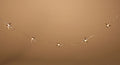 10' Outdoor Battery Operated Acrylic Star String Lights