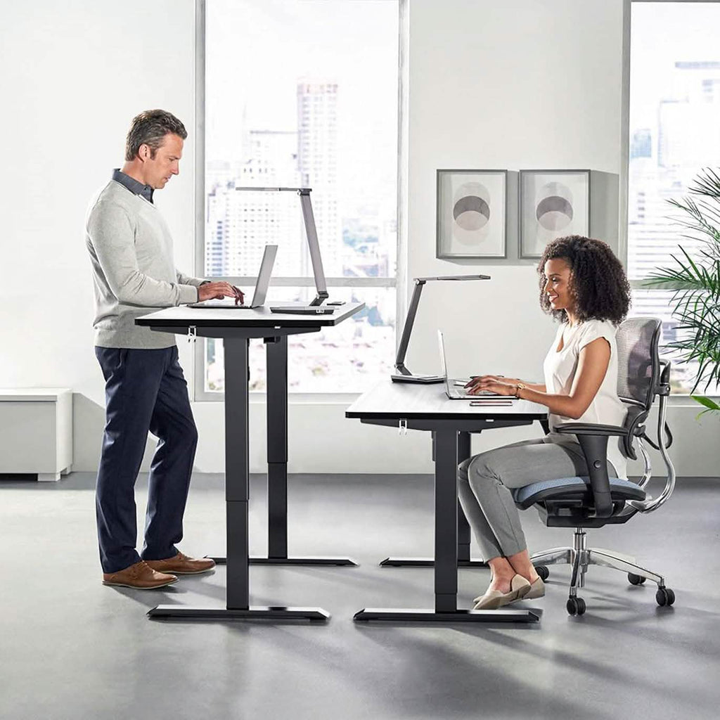 TTKK Electric Standing Desk