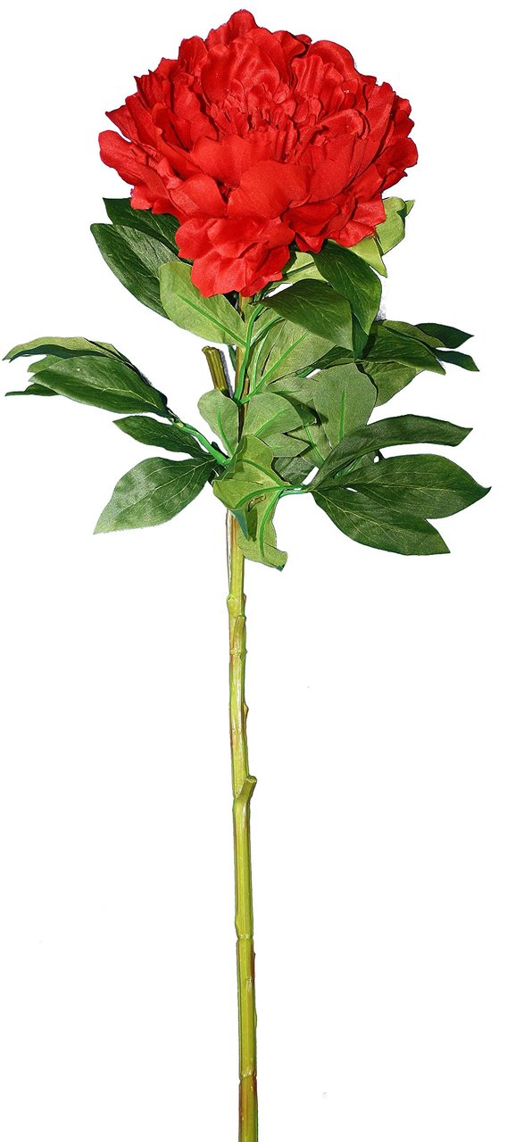 Everyday Longstem Satin Peony - Red - 35 Inch