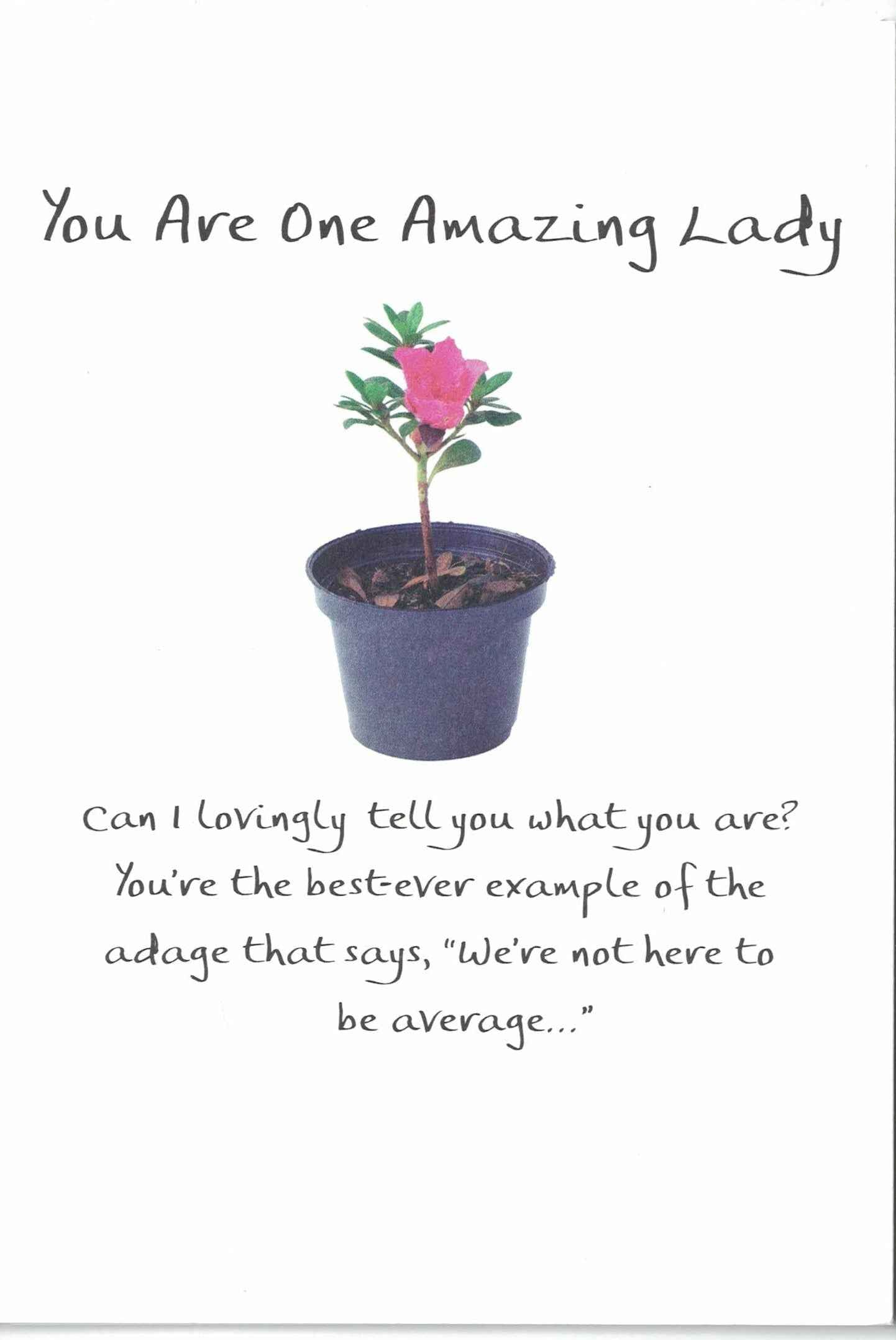 You are One Amazing Lady Greeting Card