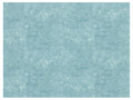 Village Ice Sheet - 11.75" x 8.25"