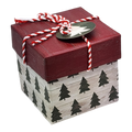 Gift Box Cube for Gift Cards - 3" x 3" -  Tree Farm