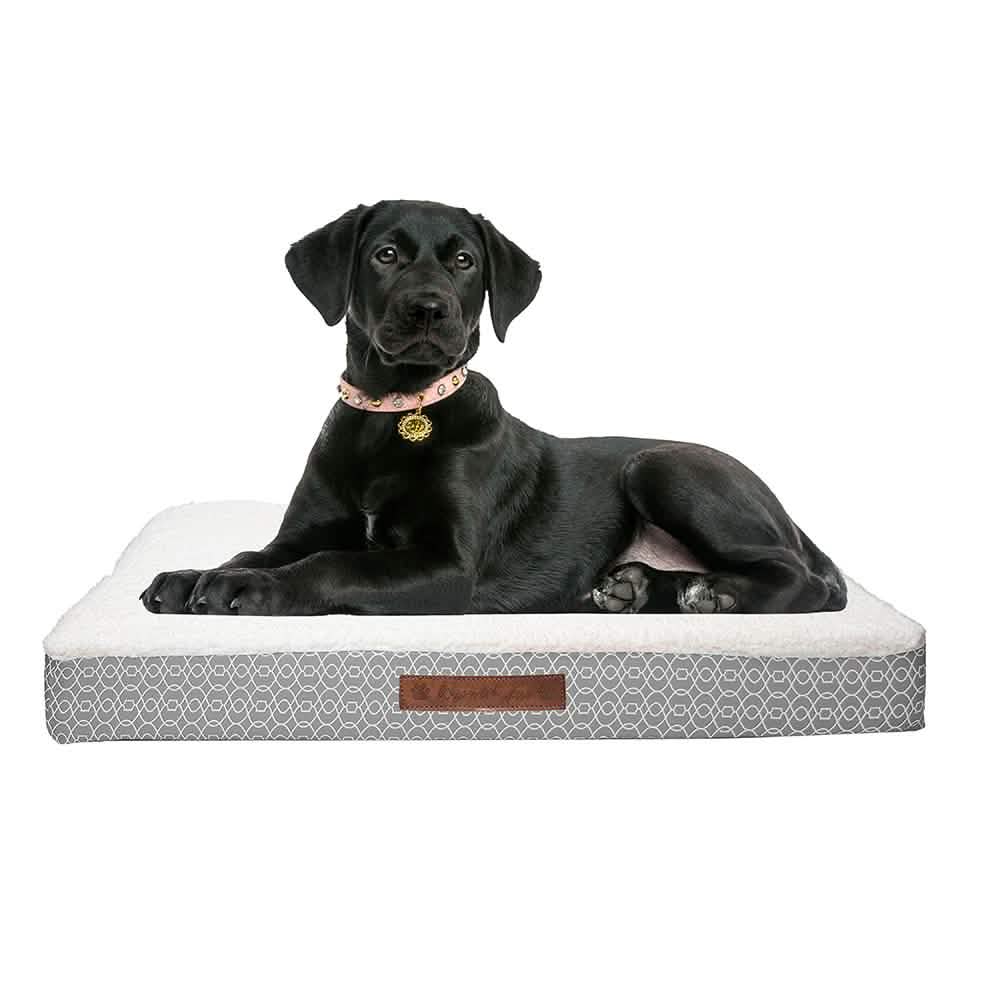 Wags & Whiskers Memory Foam Pet Bed - Assorted Styles
