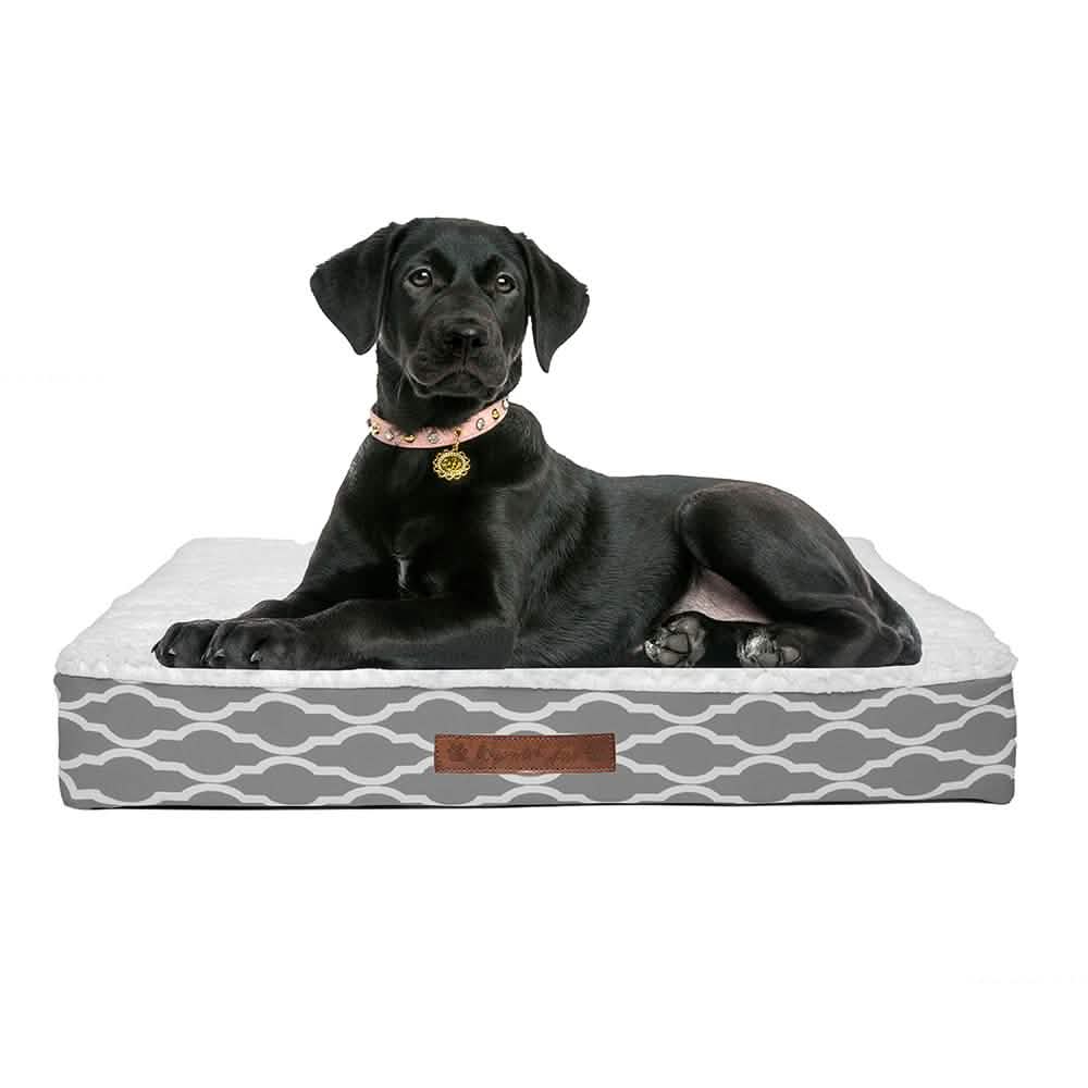 Wags & Whiskers Memory Foam Pet Bed - Assorted Styles