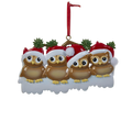 Adorable Owl Family Ornament - Family of 4
