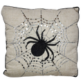 Sparkling Spider Web Pillow