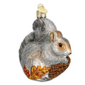 Old World Hungry Squirrel
