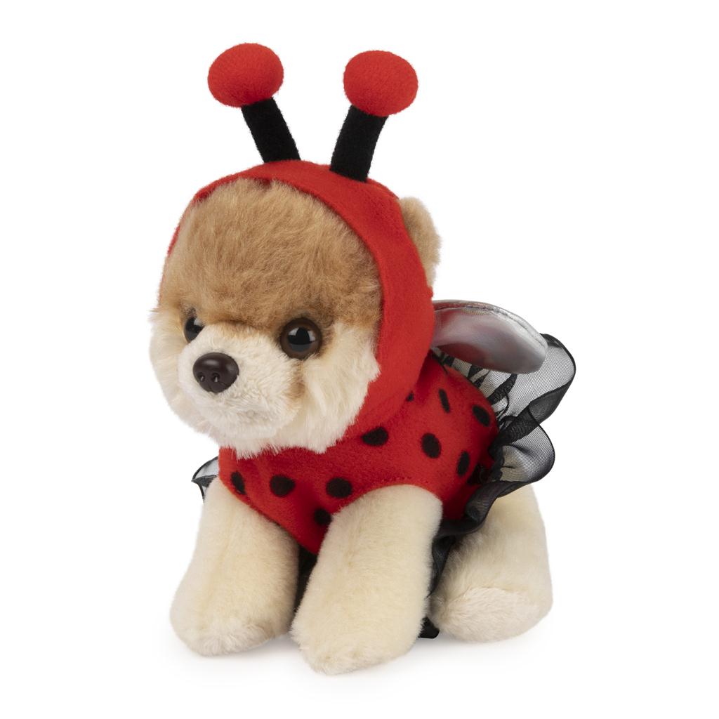 Itty Bitty Boo Ladybug