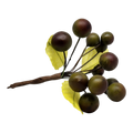 Grape Cluster - 5 Inch - Maroon and Olive