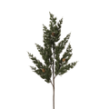 Pine Spray with Pinecone - 24 inch
