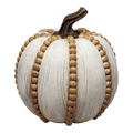 Fall Textured Pumpkin -