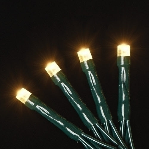 USB powered 100 LED (26 foot) Green Wire Multifunction Lights with Timer - Warm White