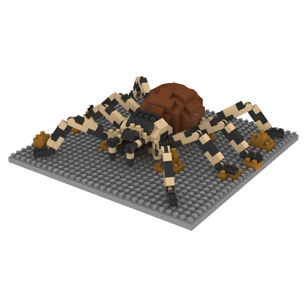 Mini Building Blocks - Tarantula