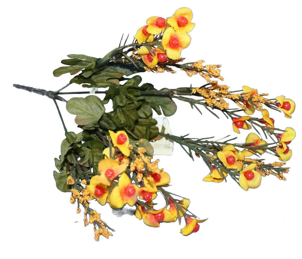 13.5 inch Bittersweet Bush