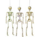 Lighted Skeleton with Moving Eyes -