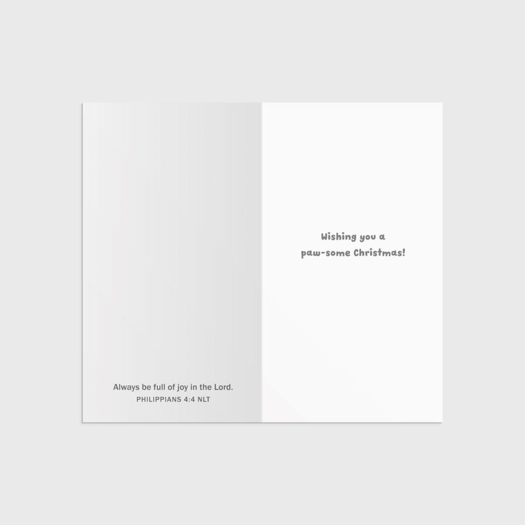 Paw-Some - 16 Christmas Boxed Cards
