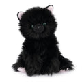 Xavier  Kitten