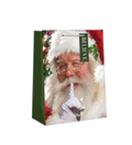 Traditional Small Gift Bag - Santa