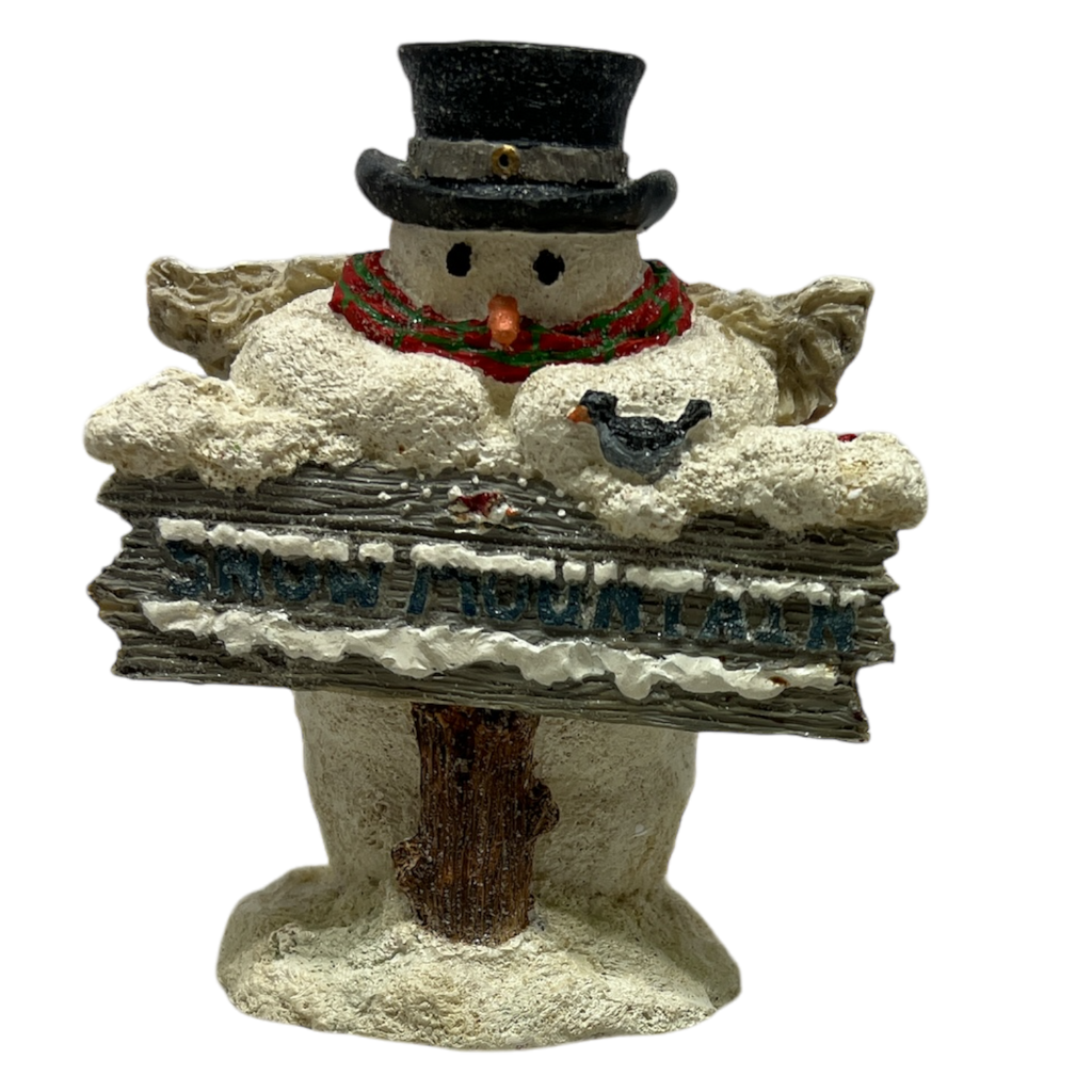 Welcome To Snow Mountain - MeKenna Angel
