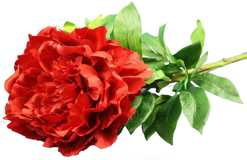 Everyday Longstem Satin Peony - Red - 35 Inch