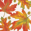Autumn Hues White Cocktail Napkins